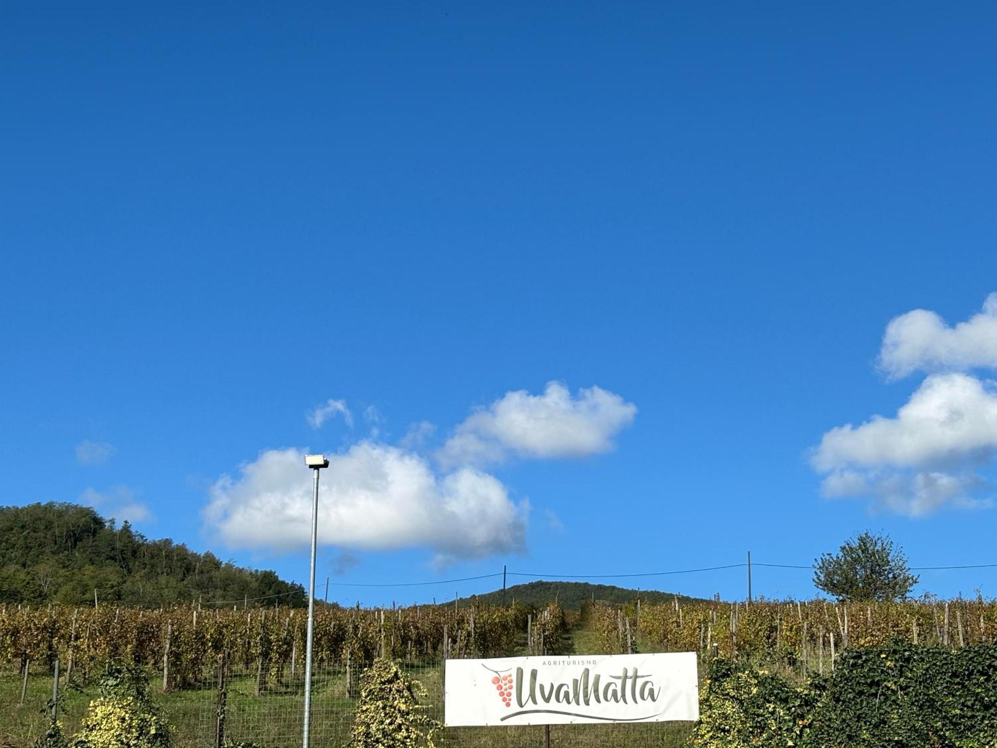 Uvamatta Villa Carmiano  Exterior foto